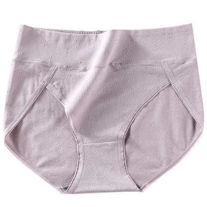 Antibakterielle Slips mit hoher Taille in Übergröße (6 Paar)